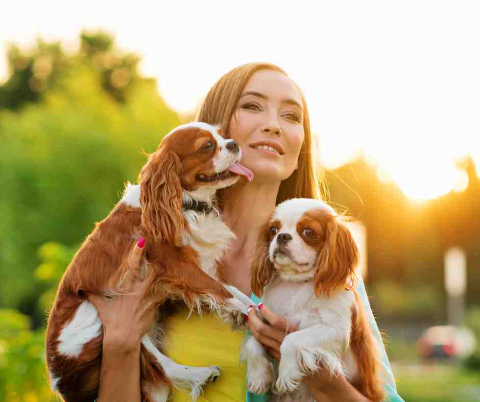 SEO services for dog breeders