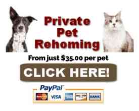 Pet rehoming services from just 35.00 per pet. Click here.