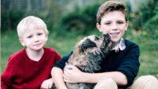 Los Gatos Pet Rehoming Services – Rehome a Pet Dog Cat Safely