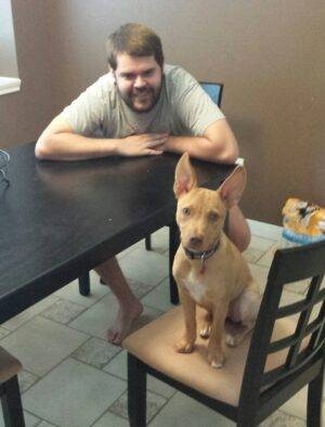 Kirby – Cute Basenji Mix, 3, Seeks Loving, Only Pet Home – Friendswood, Texas – All Supplies Included