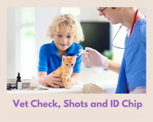Photo of a young boy holding his orange tabby kitten as the vet administers a vaccination
