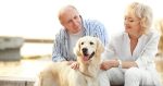 Prospective adopter meets a dog and his owner.