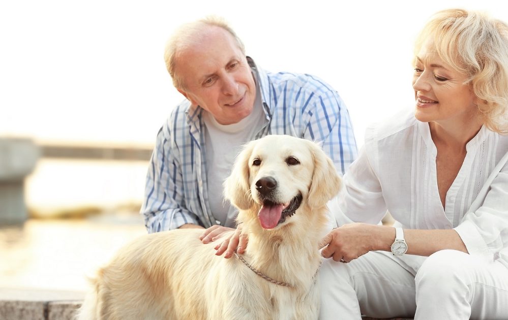 Prospective adopter meets a dog and his owner.