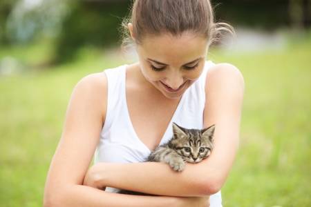 Cat Rehoming Services For Your Cherished Pet - Rehome a Cat