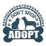 Don't shop adopt 