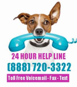 24 hour toll free help line for pet rehoming and adoption small