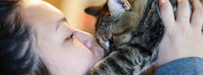 Girl kissing a tabby cat
