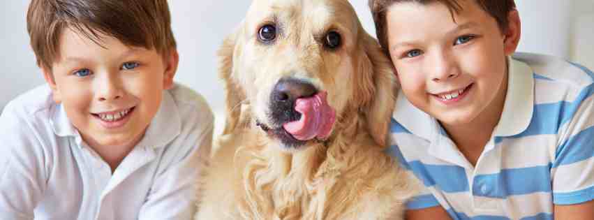 Banner for dogs for adoption in seattle featuring two boys and a golden retriever dog