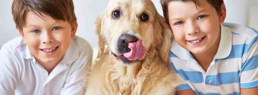 Banner for dogs for adoption in seattle featuring two boys and a golden retriever dog