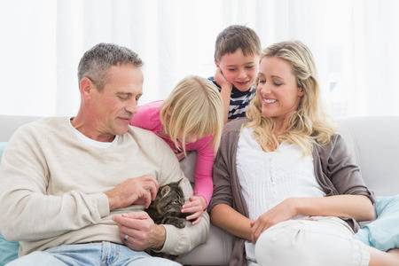 Ottawa Pet Adoption