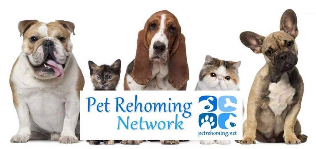 Nevada Pet Rehoming Services For Dogs & Cats