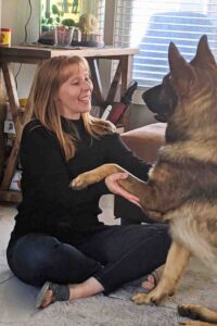german shepherd dog for adoption