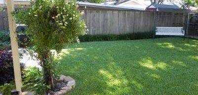 A pristine lawn serviced by rockwall pooper scoopers in rockwall texas