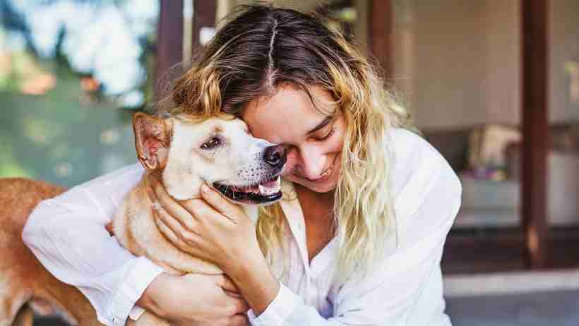 a woman rehoming her dog in phoenix arizona
