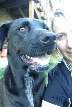 Meet Aero - A Sweet Black Labrador Retriever Mix Dog In Need Of A Special New Home. She Lives In Knoxville, Just A 2 Hour Drive From Lexington, Kentucky. Aero Is A Spayed Female. At Just 3 Years Old, She Is In Excellent Health. She Is Up To Date On Vaccinations And House Broken. Aero Is Good With Children And Dog-friendly Dogs. She Is Looking For A Home With A Family That Can Give Her Lots Of Attention, Love, Exercise And Playtime. Adopt This Beautiful Black Lab Mix Dog Near Lexington Today. CALL Or TEXT The AERO HOTLINE At (865) 337-8460 To Offer Her A Home Today.