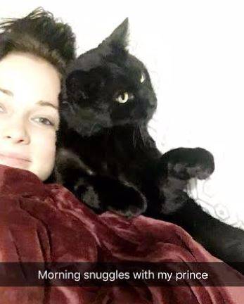 Binx - black cat for adoption in calgary ab 2