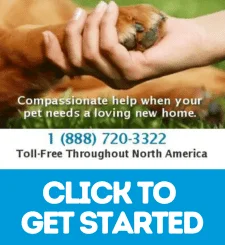 houston pet rehoming services - click to get started