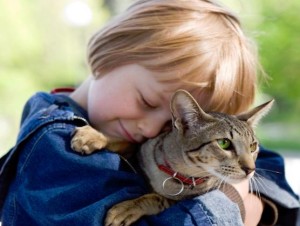 Cat Rehoming - Rehome a Cat or Kitten