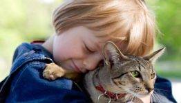 Cat rehoming services in california