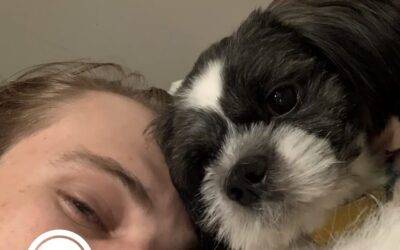 Sweet Shih-Tzu Mix Dog For Adoption in Brooklyn NY – Supplies Included – Adopt Panda