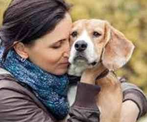 Dog rehoming