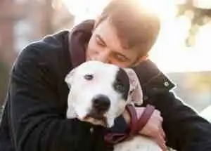 DOG REHOMING SERVICES