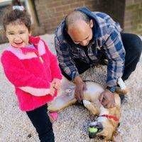 Dexter German Shepherd Mix Dog For Adoption Virginia
