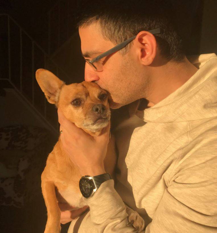 Diego chihuahua for adoption philadelphia pa 2