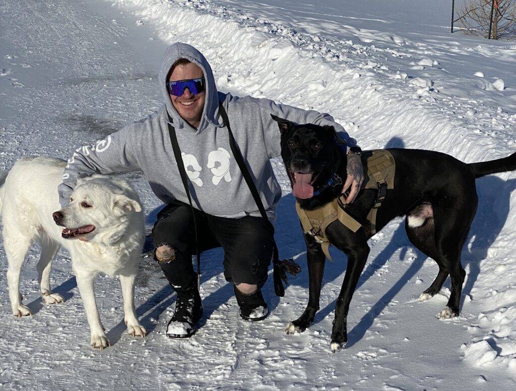 Photo Great Pyrenees and Labrador Retriever Mix Dogs For Adoption in Grande Prairie AB – Supplies Included – Adopt Nixon and Bailey