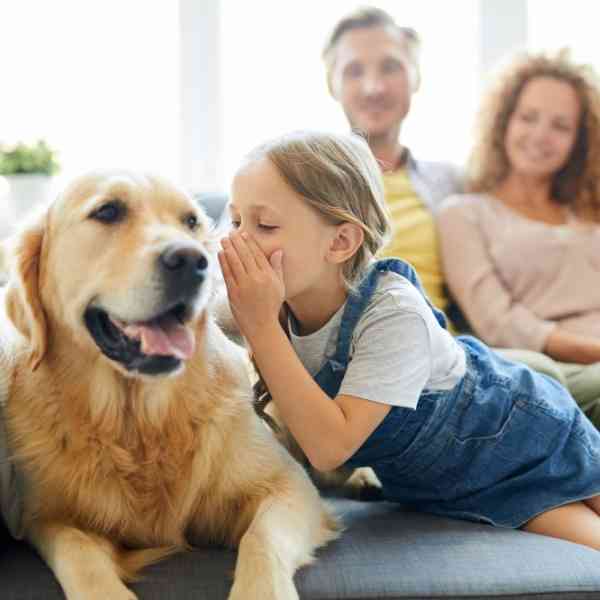 Dog Rehoming Services USA and Canada – Rehome Your Dog or Puppy Safely
