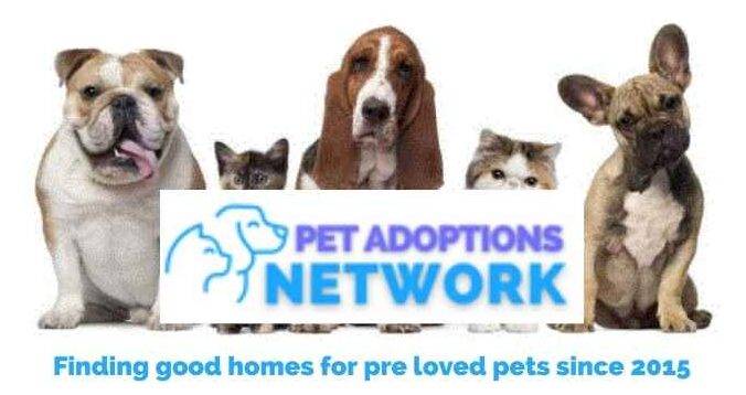 Pet Adoptions Network