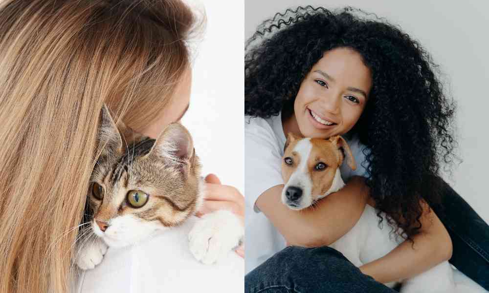 Foster Care Services For Pets