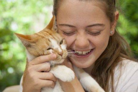 Home to home pet adoption benefits