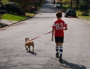 Honey - American Staffordshire Terrier For Adoption Atlanta GA 3.