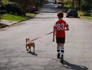 Honey - american staffordshire terrier for adoption atlanta ga 3.