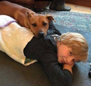 Hunter pitbull mix dog for adoption seattle wa 7