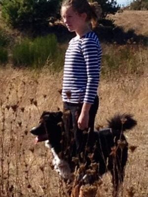 REHOMED! Sweet Border Collie – Aussie Mix Female Dog  Seattle –  Sidney
