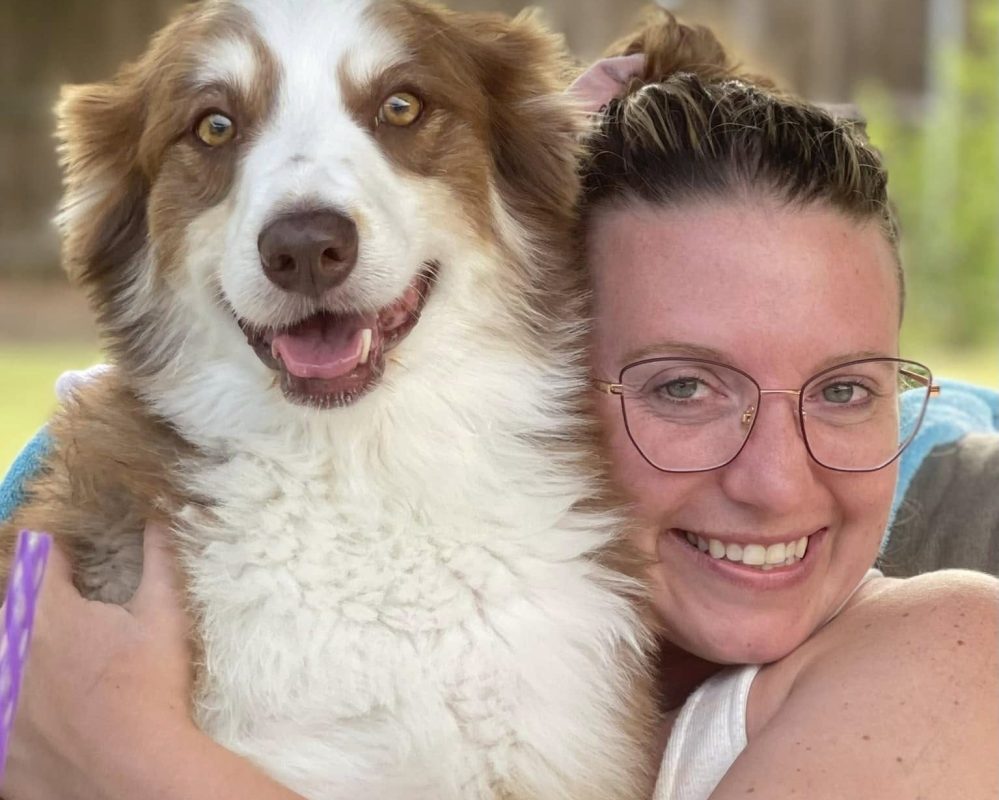 Australian Shepherd Dog For Adoption in Hot Springs AR – Meet Jax