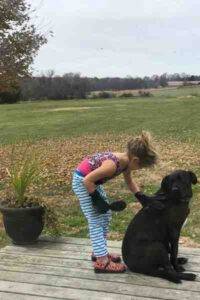 Labrador Retriever mélange de chiens chien adopter le Maryland (6)