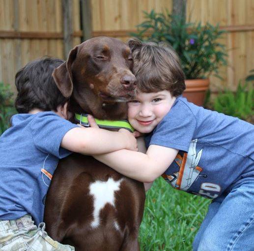 Need To Find a Home For My Dog