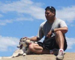 Lady jane - siberian husky dog for adoption san diego ca 2