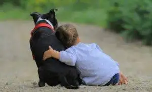 Photo depicting feelings of guilt rehoming a dog