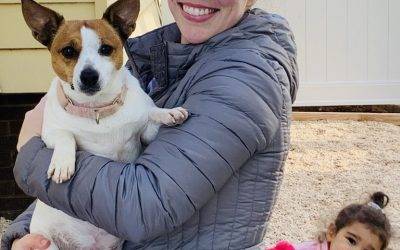 Jack russell terrier for adoption in newport news, va – adopt 5 yo female nala