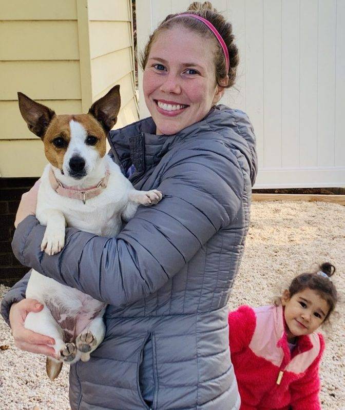 Nala Jack Russell Terrier Mix Dog For Adoption Virginia