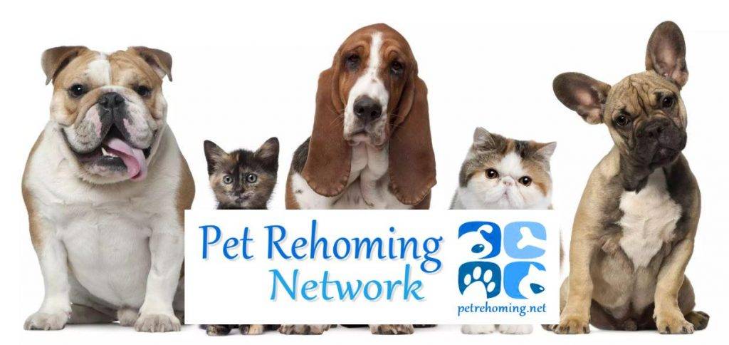 Ohio Pet Rehoming Network Banner