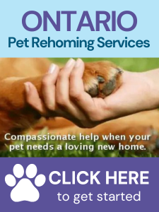 Ontario Pet Rehoming Services