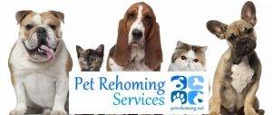 Pet rehoming - rehome a pet - pets for rehoming