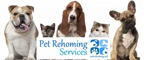 Pet rehoming - rehome a pet - pets for rehoming