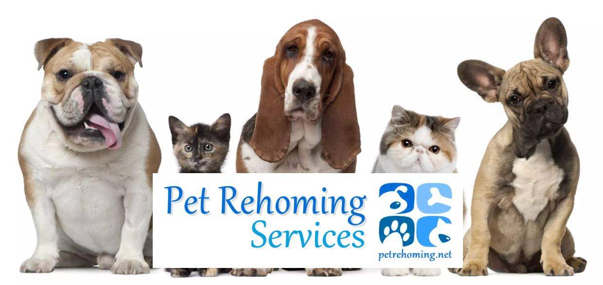 Pet Rehoming Services