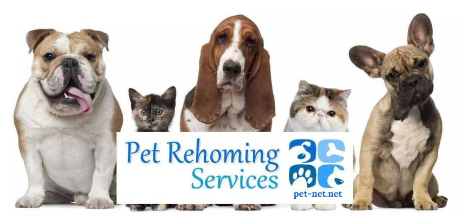 Pet rehoming services banner